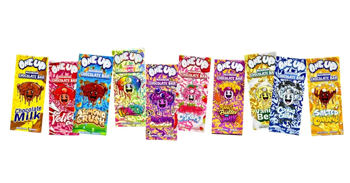 magic mushrooms chocolate
